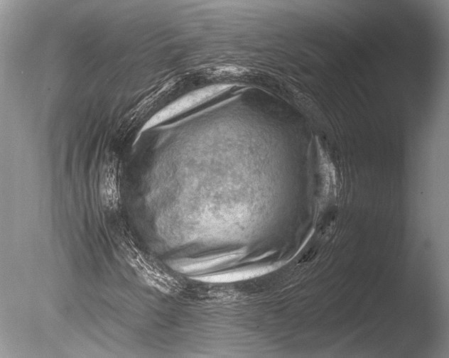 X0000085731250200703301352