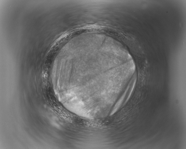 X0000085731254200703301352