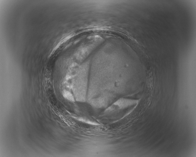 X0000085731255200703301352