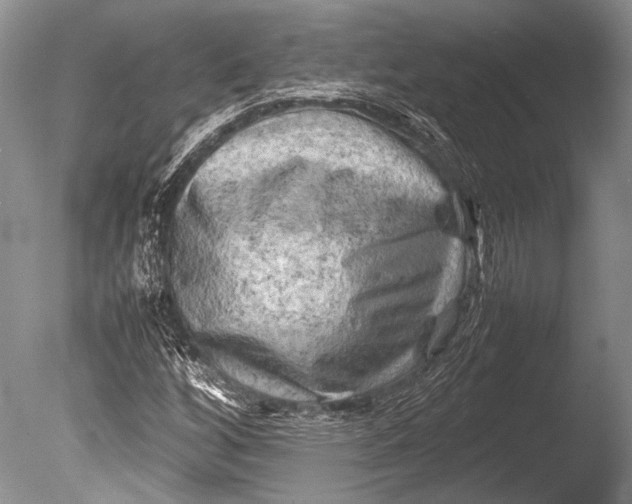 X0000085731256200703301352