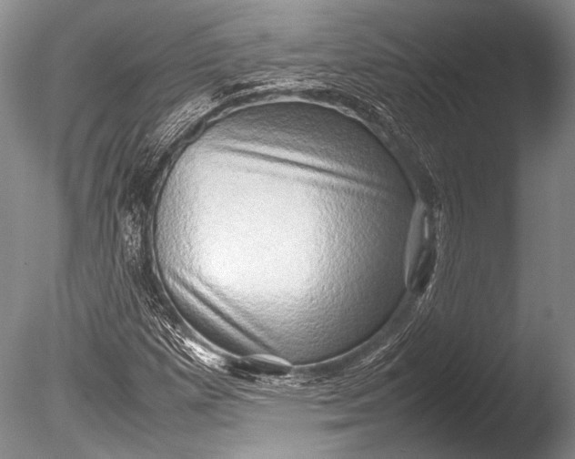 X0000085731257200703301352