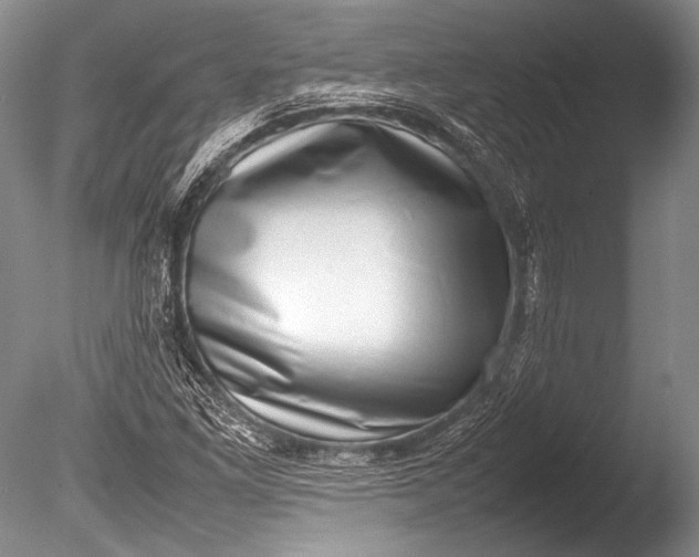 X0000085731261200703301352