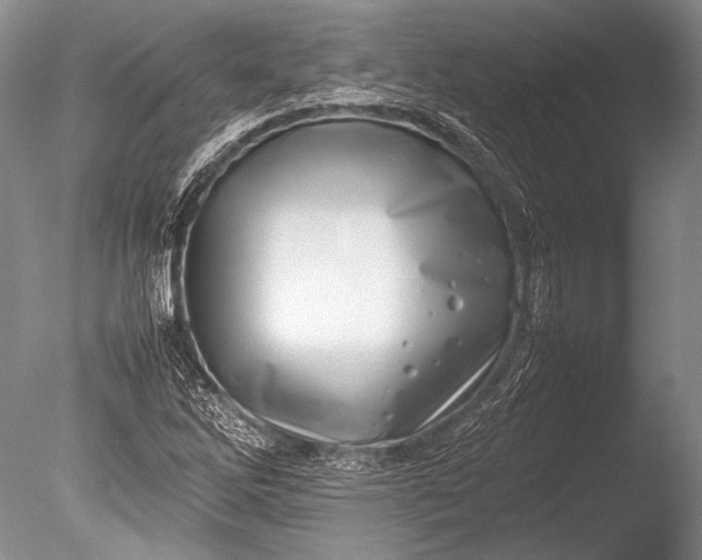 X0000085731262200703301352