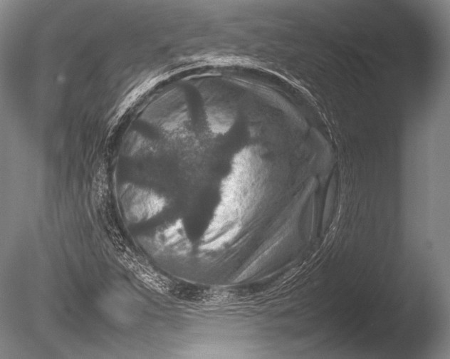 X0000085731263200703301352