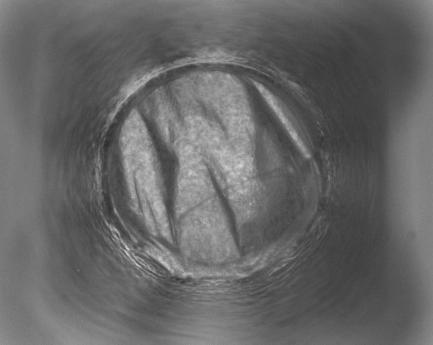 X0000085731264200703301352