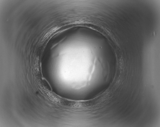 X0000085731265200703301352