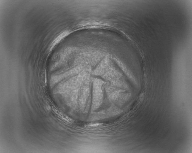 X0000085731267200703301352