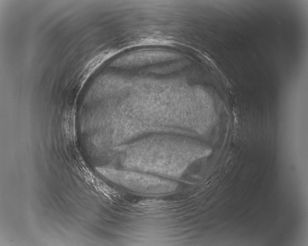 X0000085731268200703301352