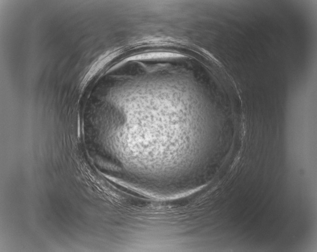 X0000085731269200703301352