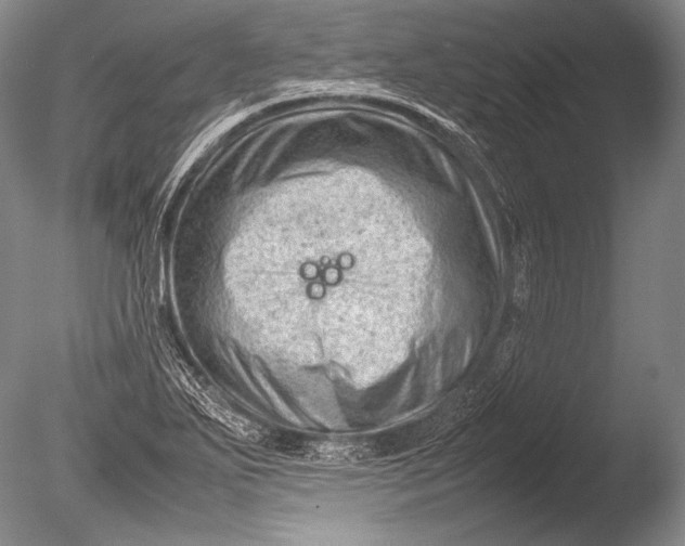 X0000085731271200703301352