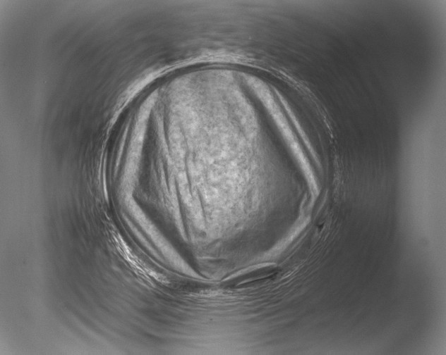 X0000085731272200703301352