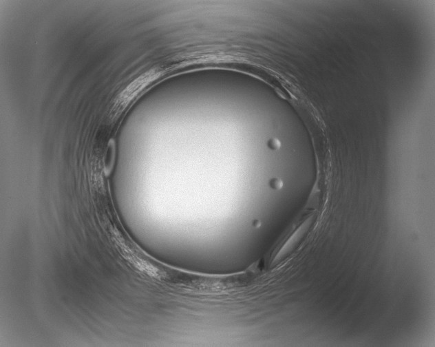 X0000085731273200703301352