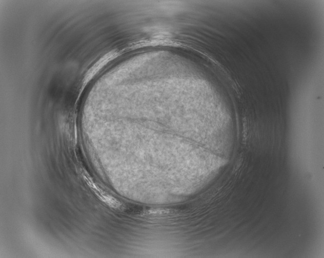 X0000085731274200703301352