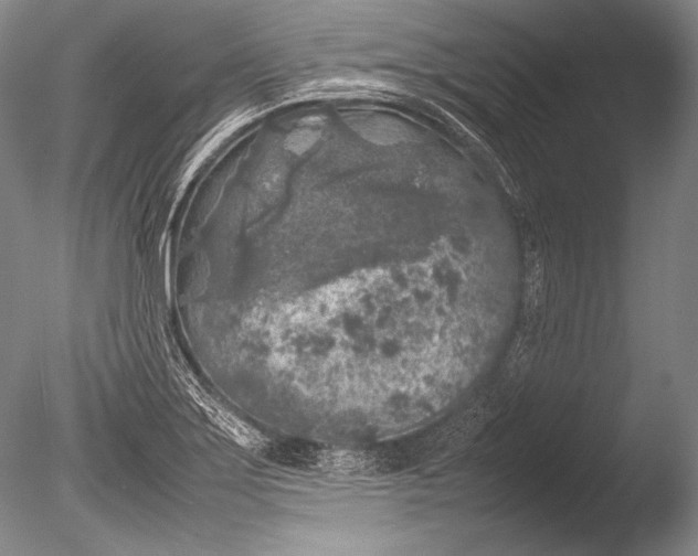 X0000085731275200703301352