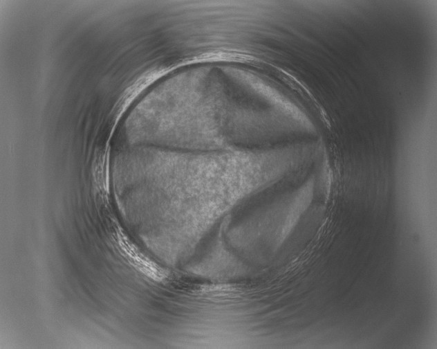 X0000085731276200703301352