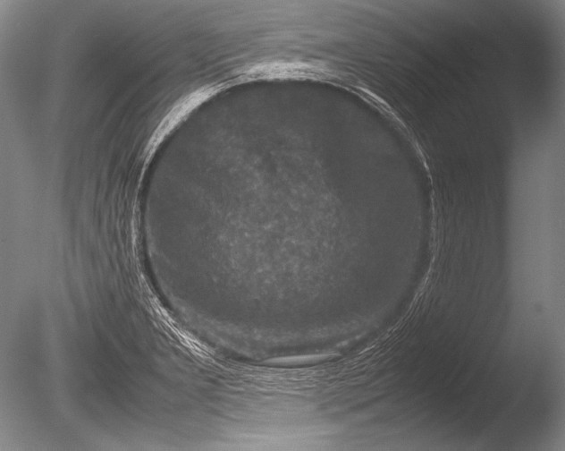 X0000085731277200703301352