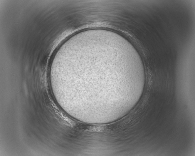 X0000085731278200703301352