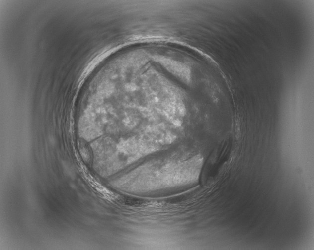 X0000085731279200703301352