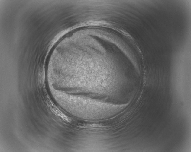 X0000085731280200703301351