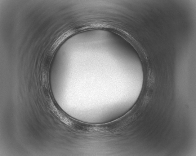 X0000085731281200703301351