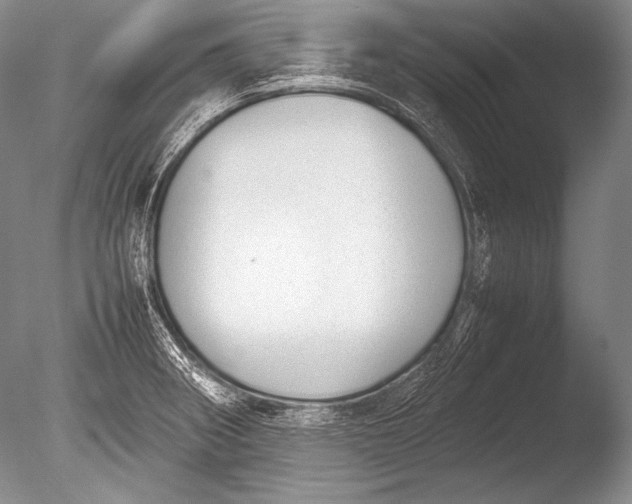 X0000085731282200703301351