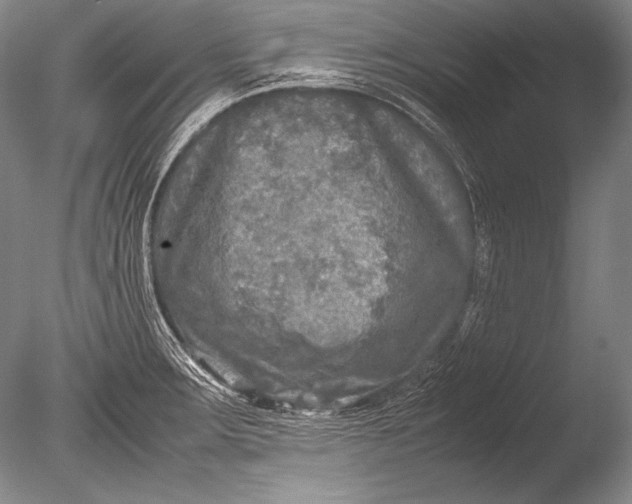 X0000085731283200703301351