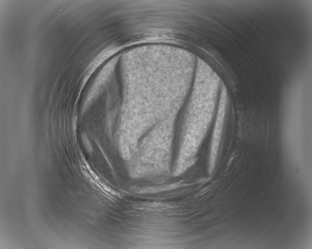 X0000085731284200703301351