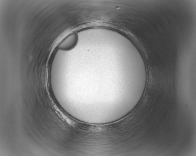 X0000085731286200703301351