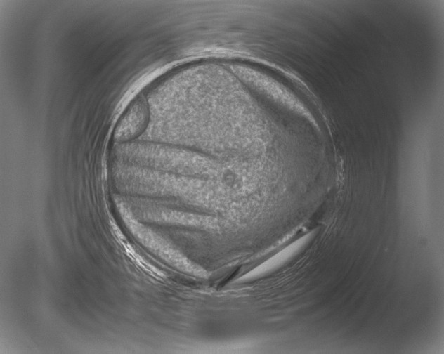 X0000085731287200703301351