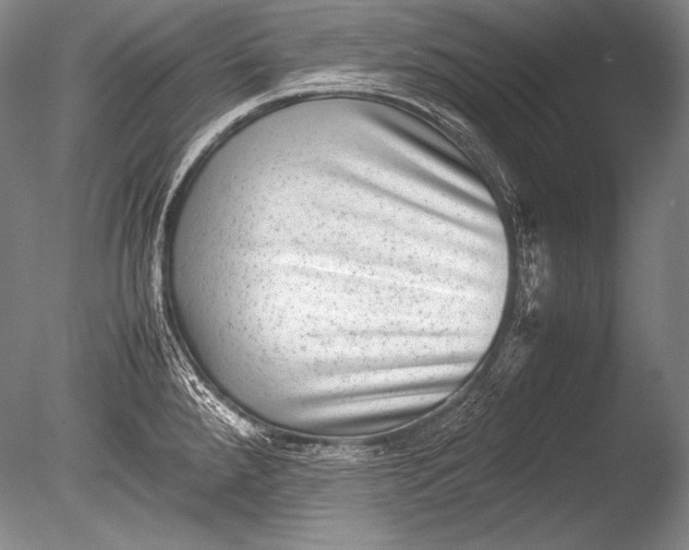 X0000085731288200703301351