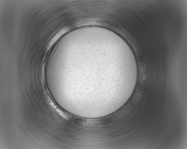 X0000085731290200703301351