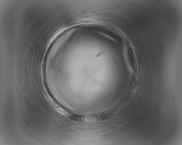 X0000085731291200703301351