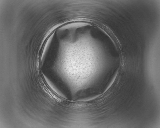 X0000085731292200703301351