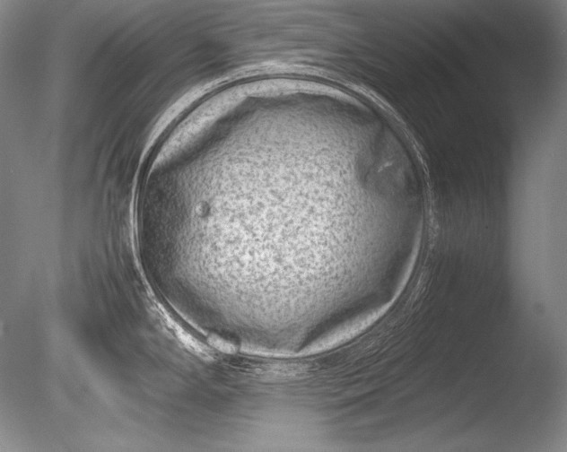 X0000085731294200703301351