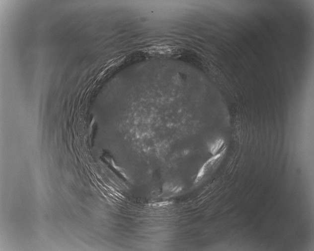 X0000085731297200703301350