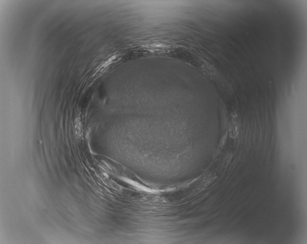 X0000085731298200703301350