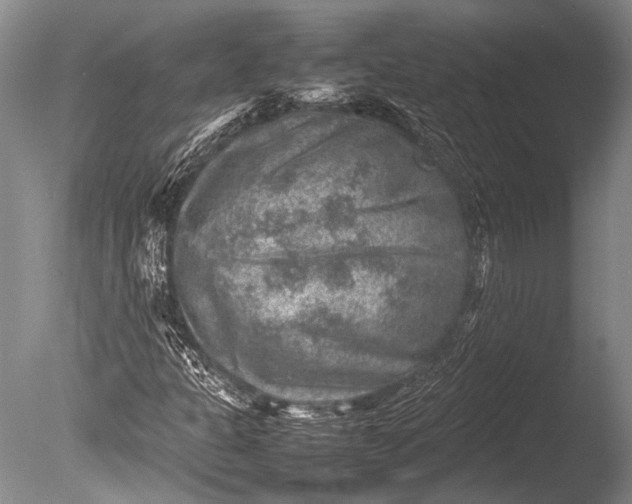 X0000085731301200703301350