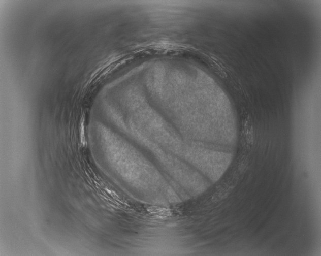 X0000085731302200703301350