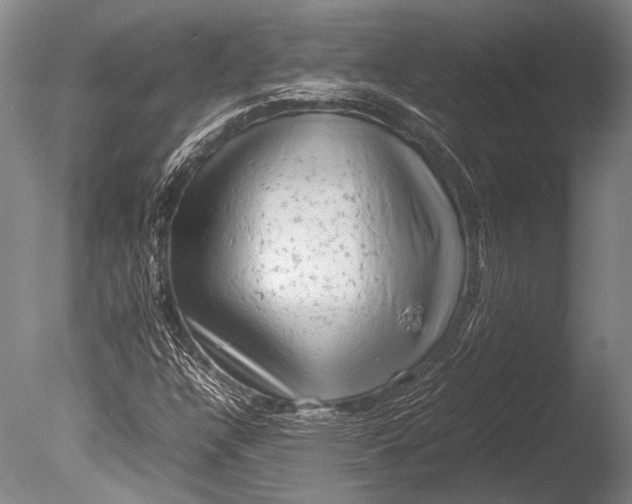 X0000085731304200703301351