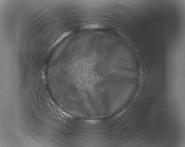 X0000085731305200703301351