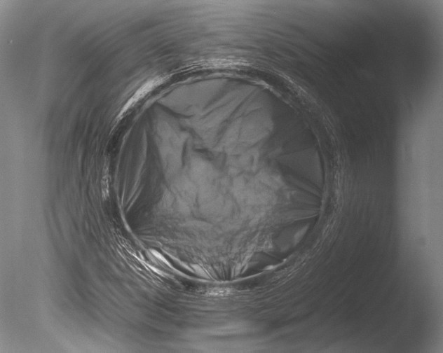 X0000085731306200703301351