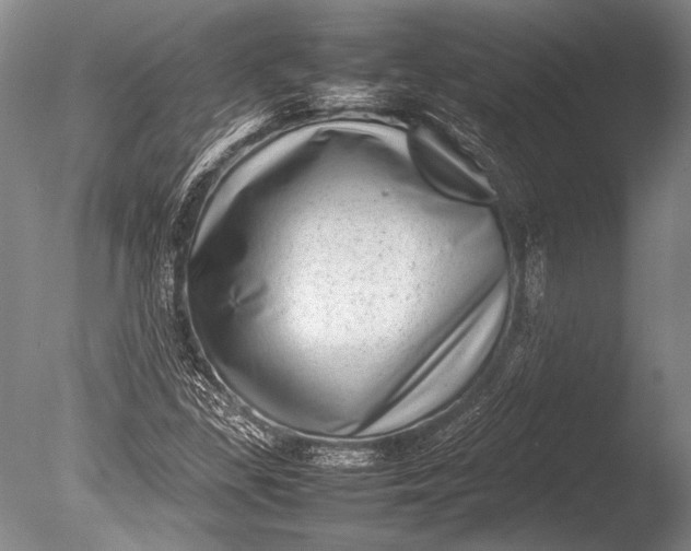 X0000085731309200703301351