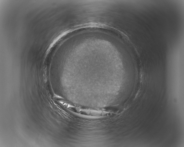 X0000085731310200703301351