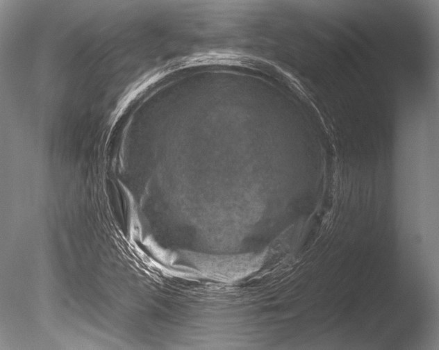 X0000085731312200703301351