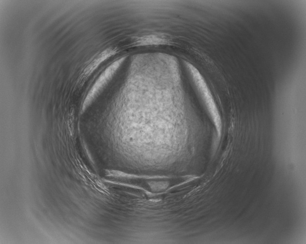 X0000085731313200703301351