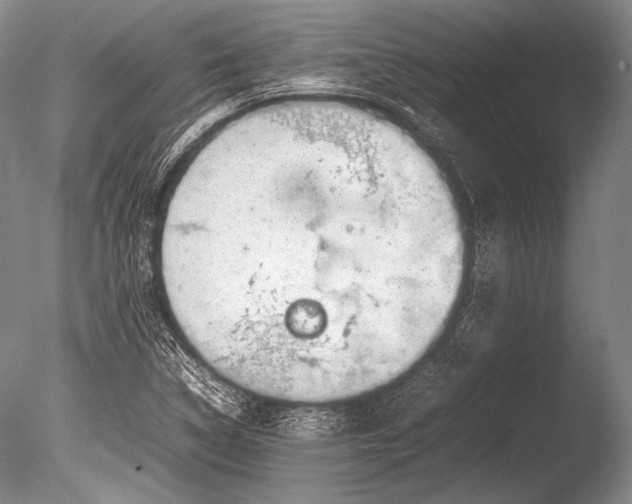 X0000085731314200703301351