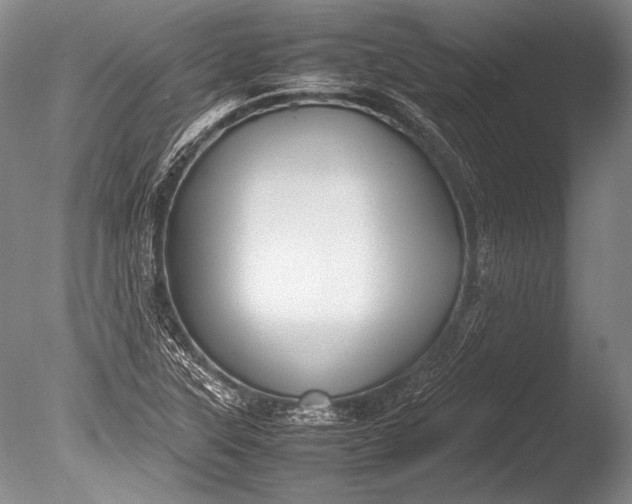 X0000085731315200703301351