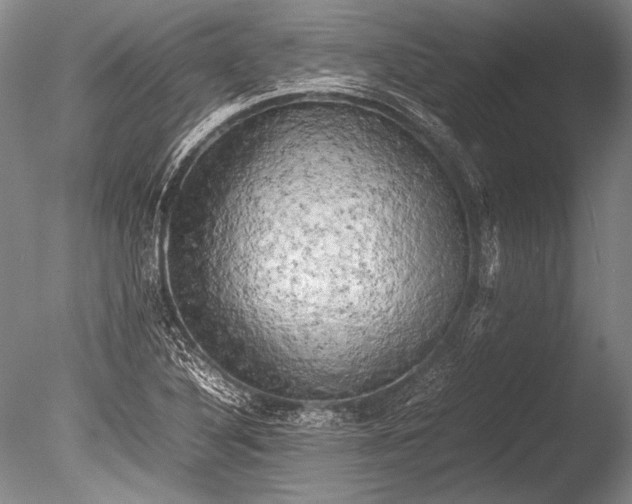 X0000085731316200703301351