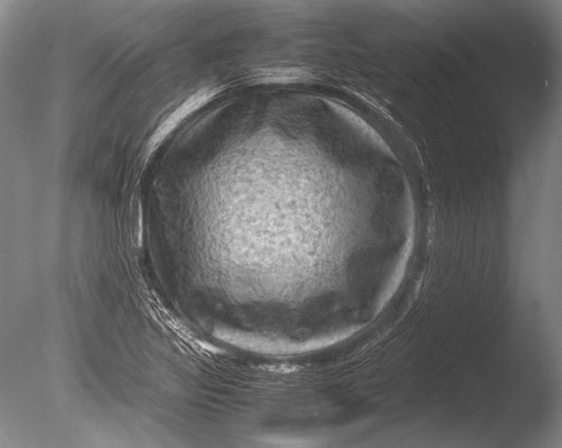 X0000085731317200703301351