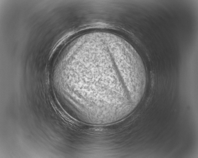 X0000085731318200703301351